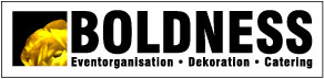 Logo BOLDNESS